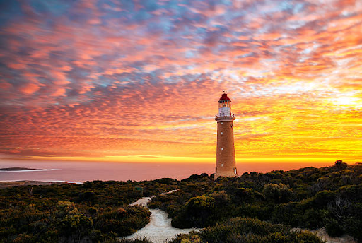 free things to do in kangaroo island