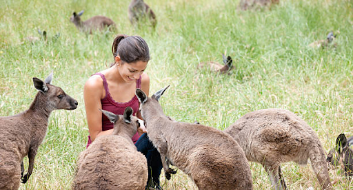 what to see in australia in 2 weeks