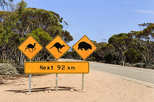 how long is the nullabor