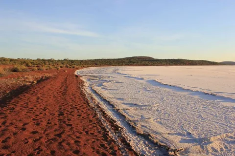 lake gairdner national park photos