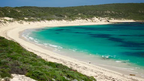 hamelin bay stingrays review australia