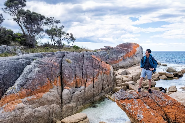 Great Dividing Range Mountains - majestic peaks stretching across Australia's eastern coast